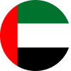 UAE flag icon